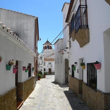 Moclinejo House Villa Malaga Ngoại thất bức ảnh