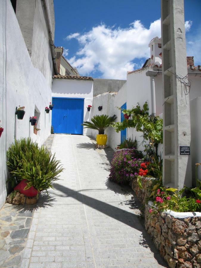 Moclinejo House Villa Malaga Ngoại thất bức ảnh
